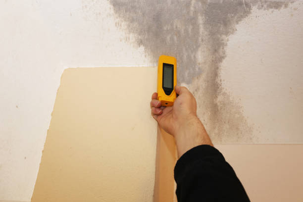 Best Mold Prevention Services  in Newcomerstown, OH