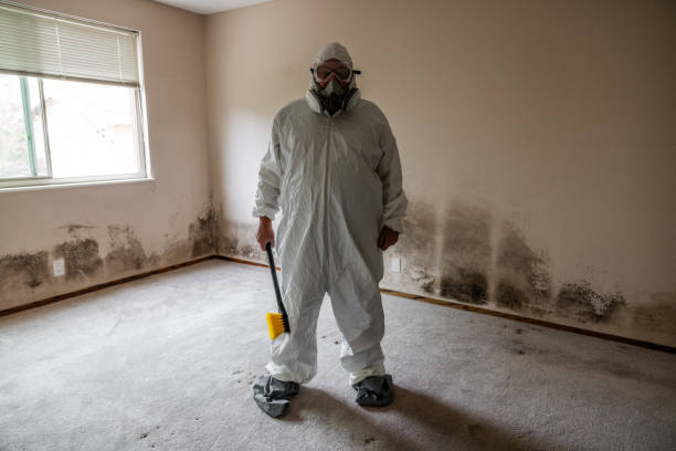 Best Residential Mold Inspection & Testing  in Newcomerstown, OH